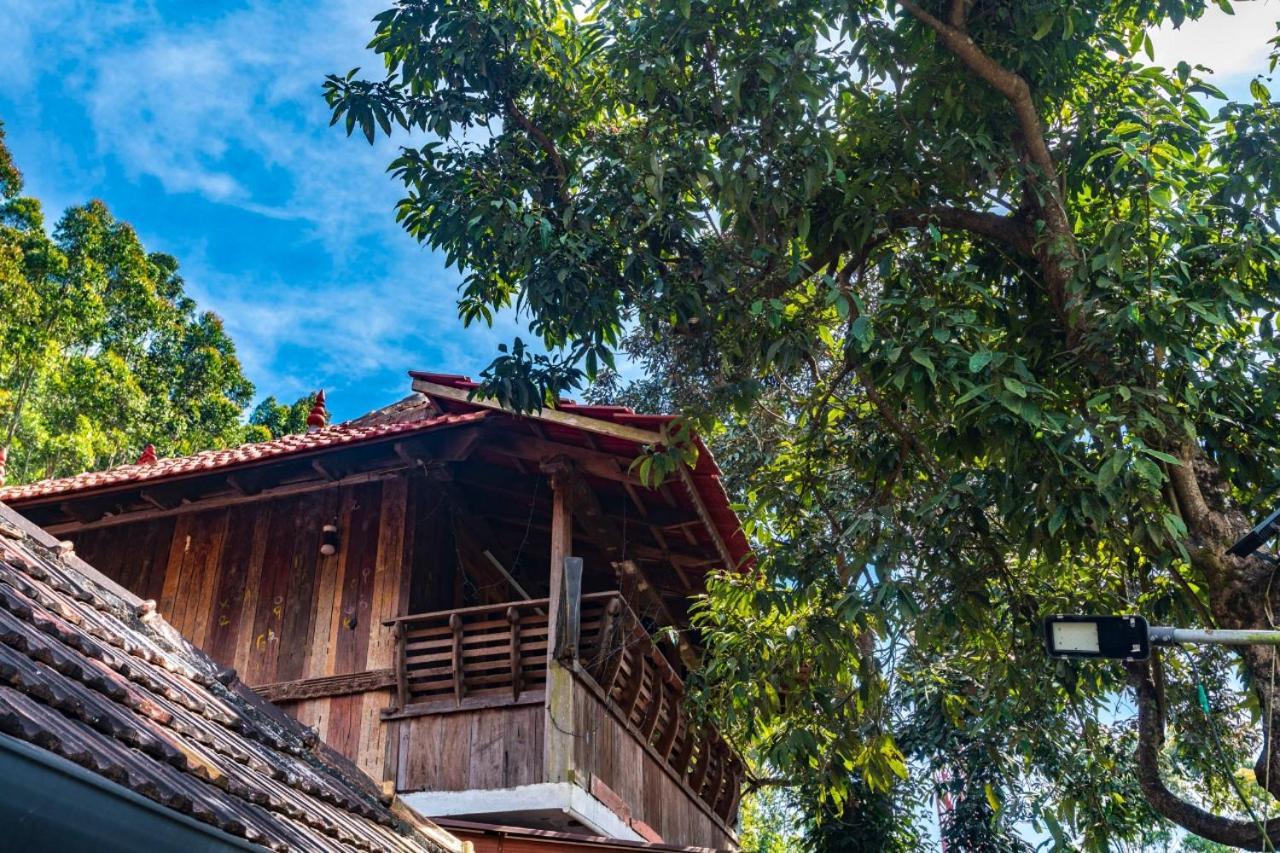 Castillo De Woods , The Private Luxury Villa , 8 Bhk, Vattavada Kottakamboor Exterior photo